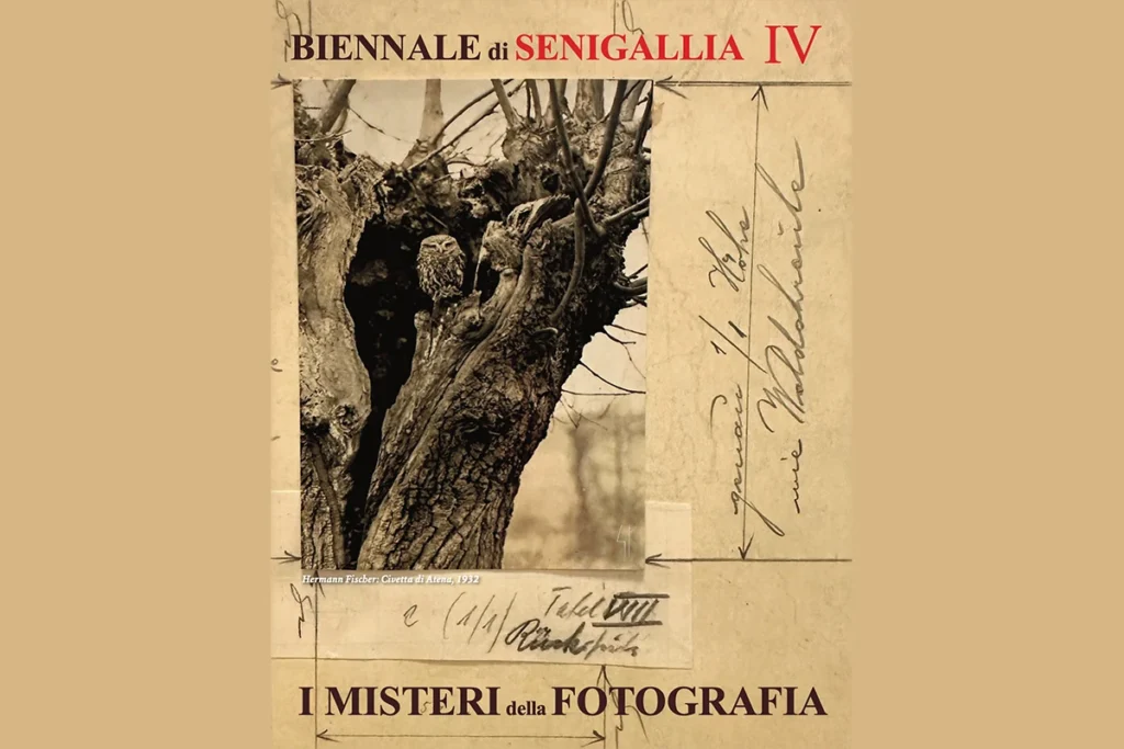 Senigallia Biennale 2025: Shedding Light on the Scientific Legacy of Nicéphore Niépce